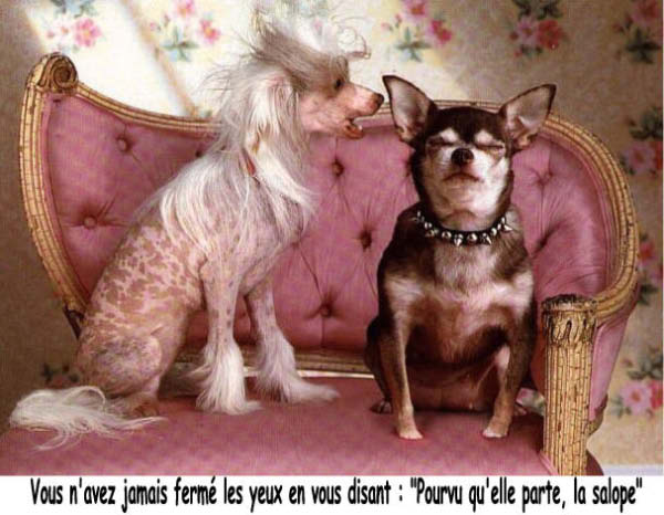 Fermer les yeux et....-humourenvrac